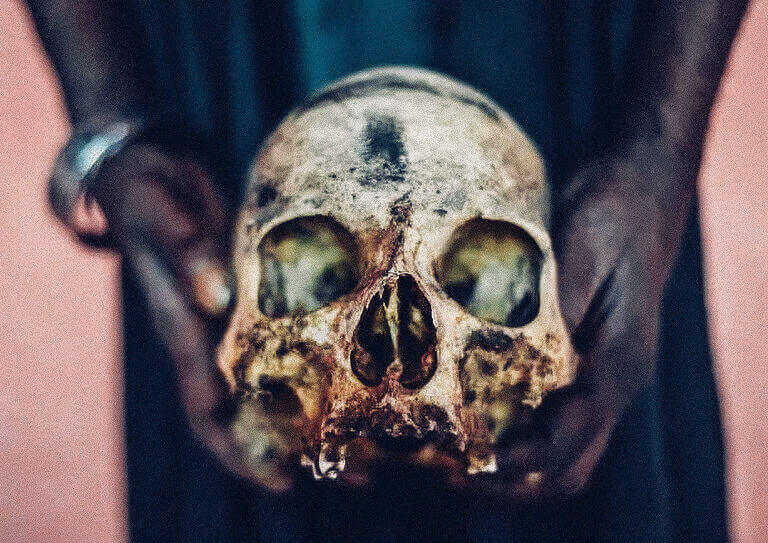 Hands holding an aged human skull facing the camera.