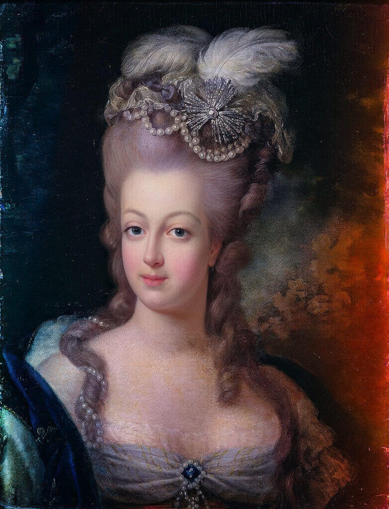 The Gendered Blade: Women, Politics, And The Guillotine In The French Revolution Marie Antoinette French Revolution