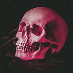 Anatomical human skull model lit in pink light against a dark background.