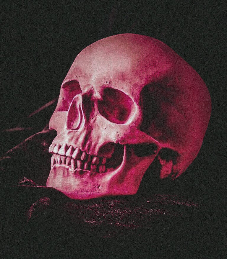 Anatomical human skull model lit in pink light against a dark background.