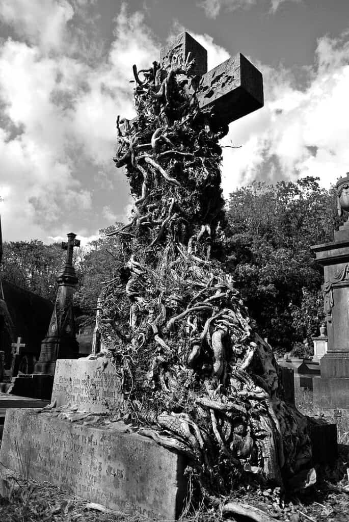 When Love Lingers A Little Too Long Ancient Cemetery Cross Entwined With Intricate, Twisted Tree Roots Under A Cloudy Sky.