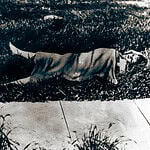 Archival 1947 press photograph of a covered scene in a Los Angeles vacant lot.
