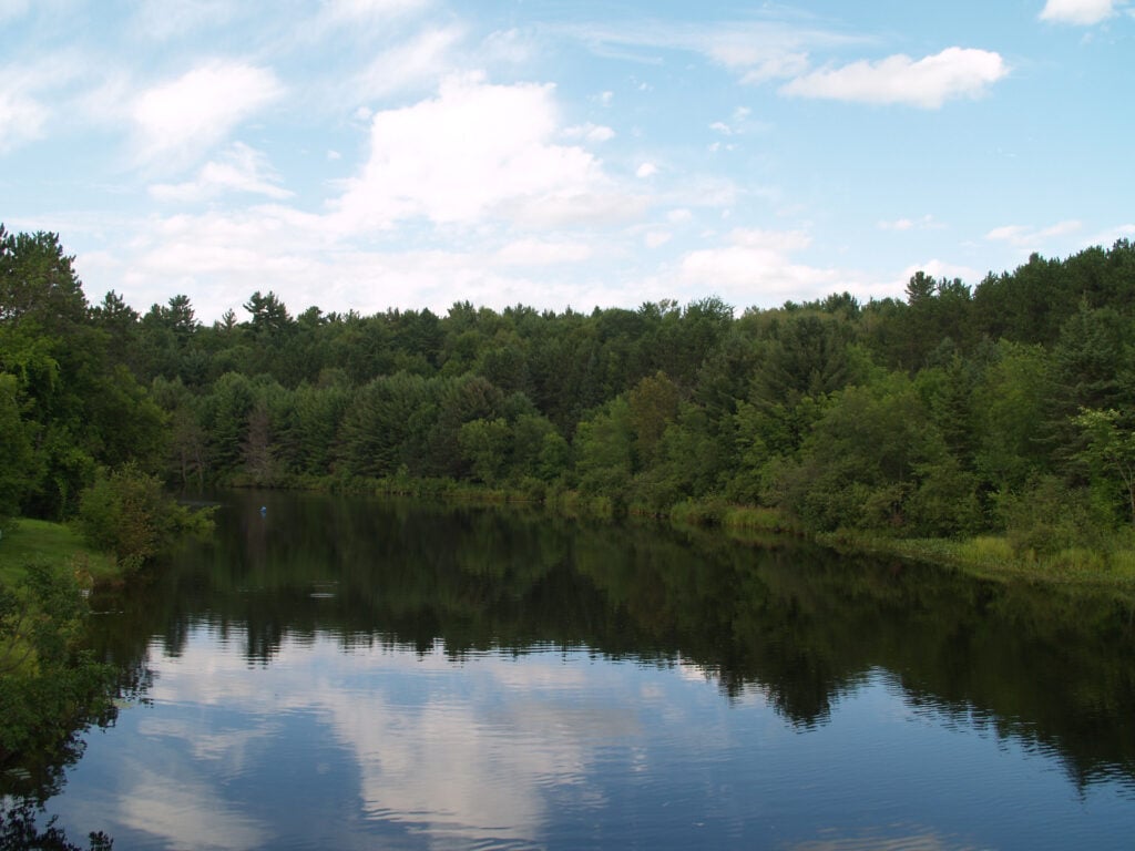 The Burnt River flowing past trees in Kinmount, Ontario.