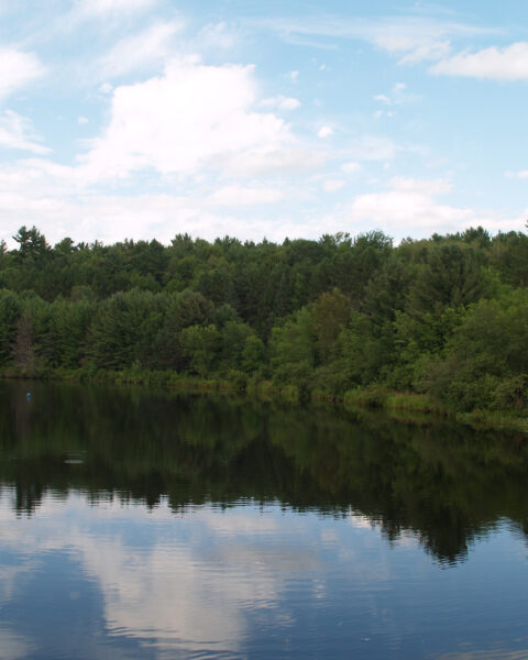 The Burnt River flowing past trees in Kinmount, Ontario.