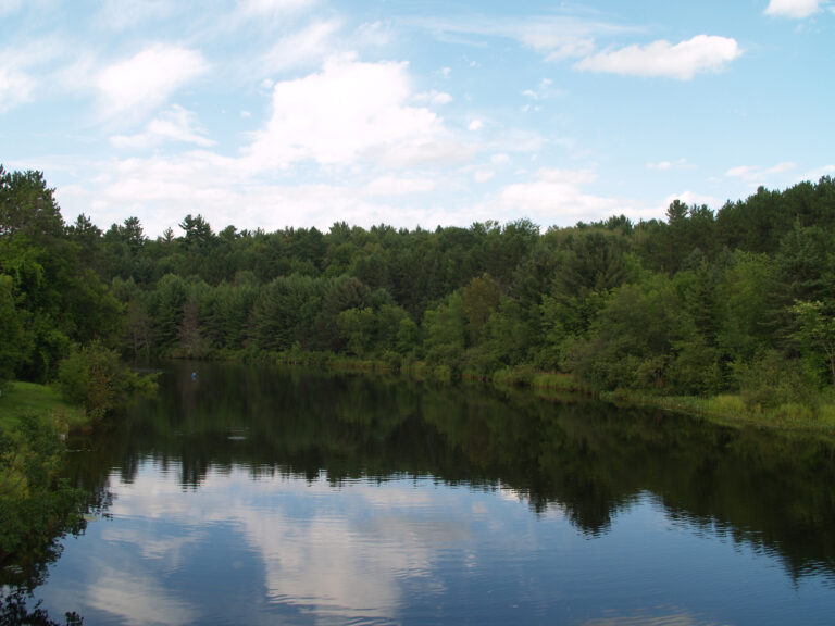 The Burnt River flowing past trees in Kinmount, Ontario.