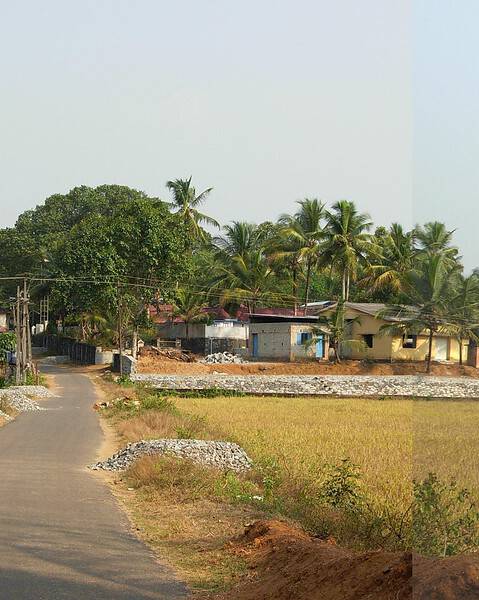 Elanthoor, Pathanamthitta district, Kerala, near the Bhagavathikunnu temple