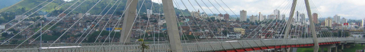 César Gaviria Trujillo Viaduct, Pereira