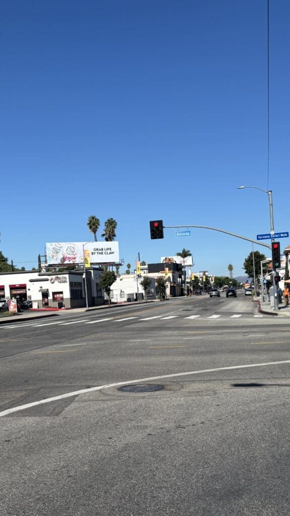 Ventura Boulevard, Tarzana, Los Angeles, 2025