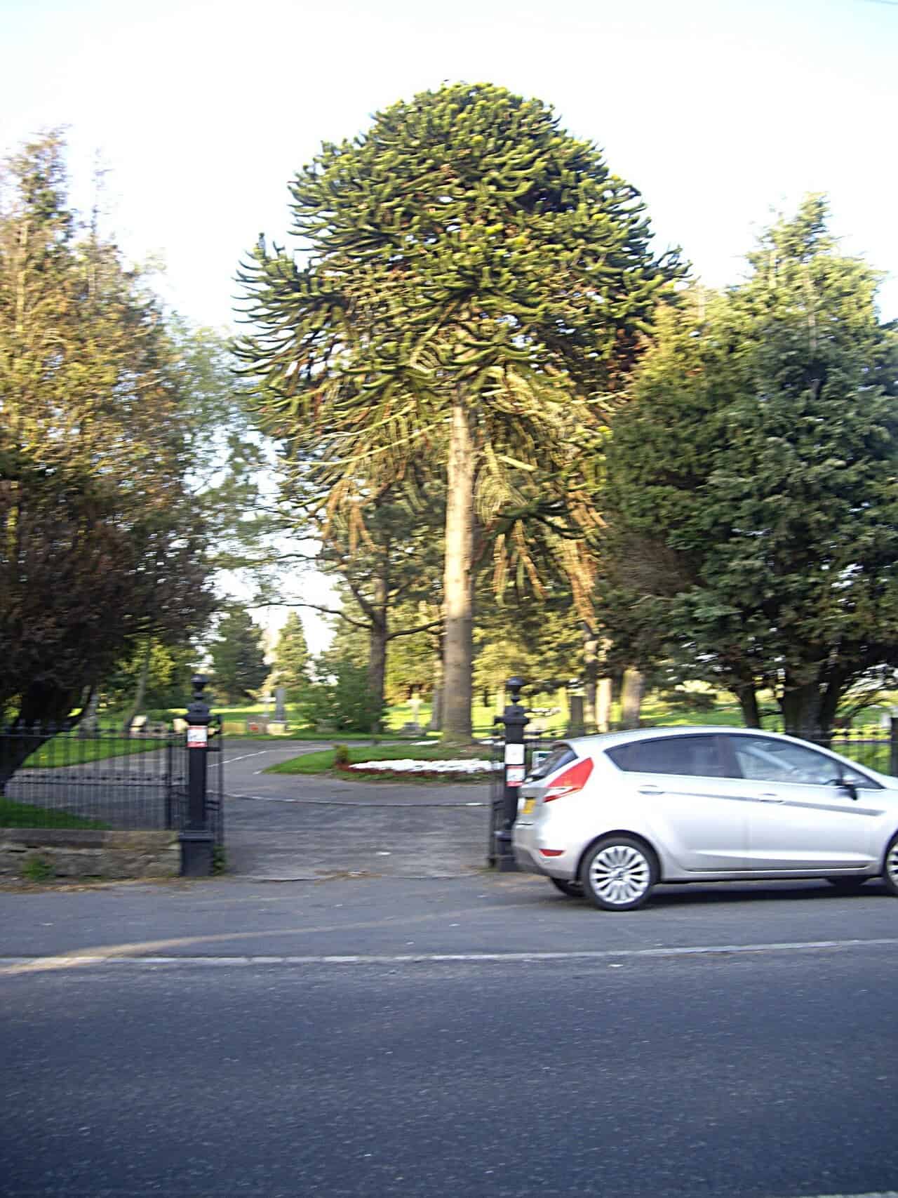 West Auckland Cemetery
