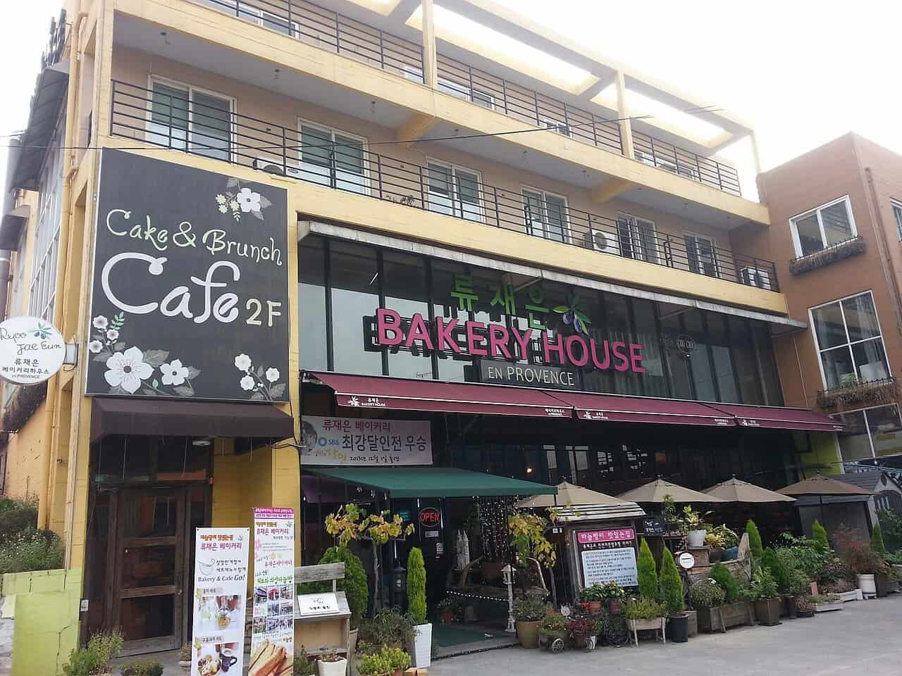 Paju