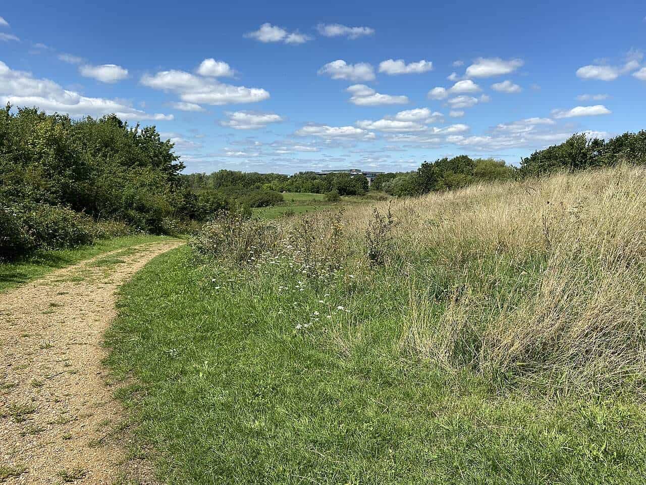Bedfont Lakes Country Park