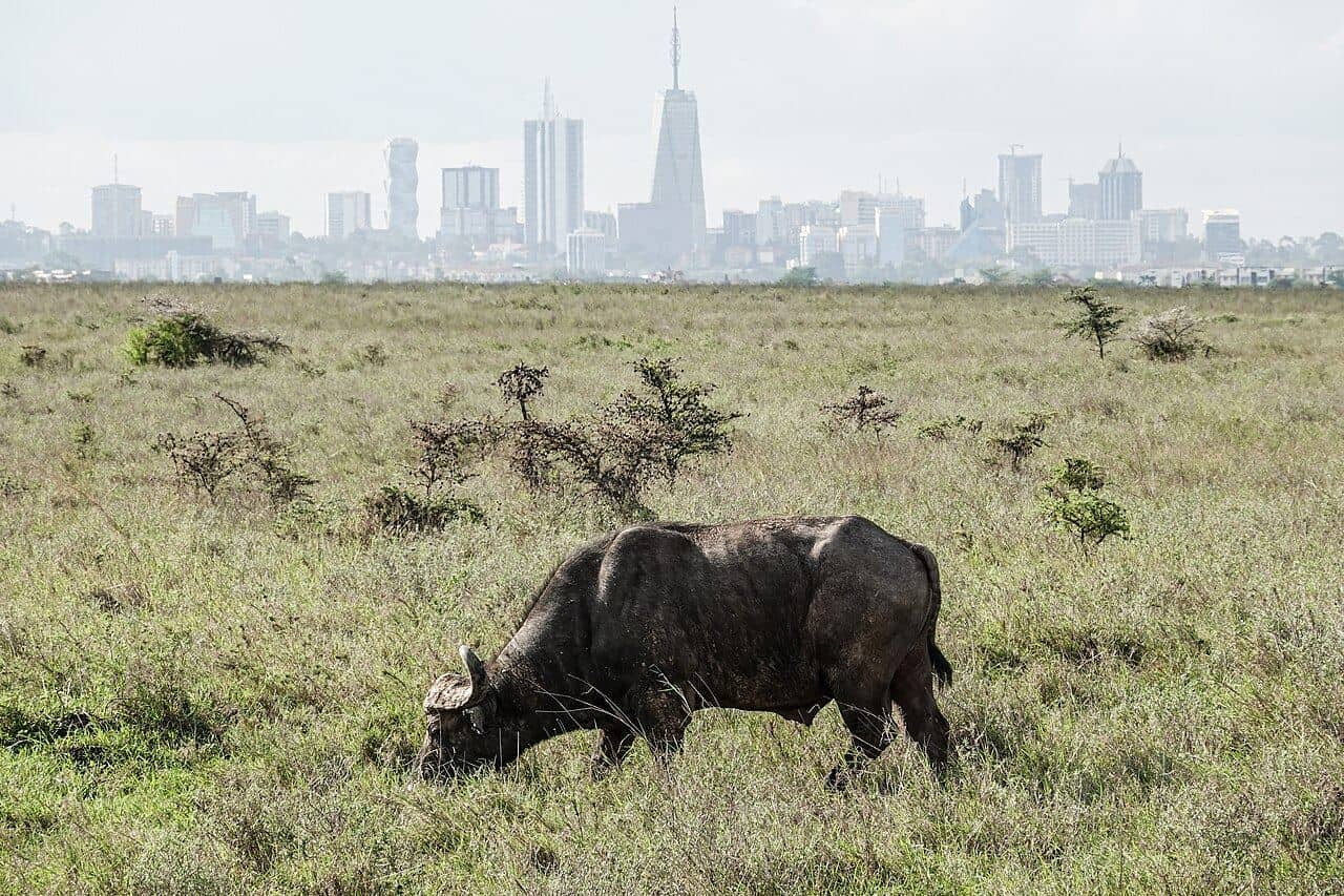 Nairobi