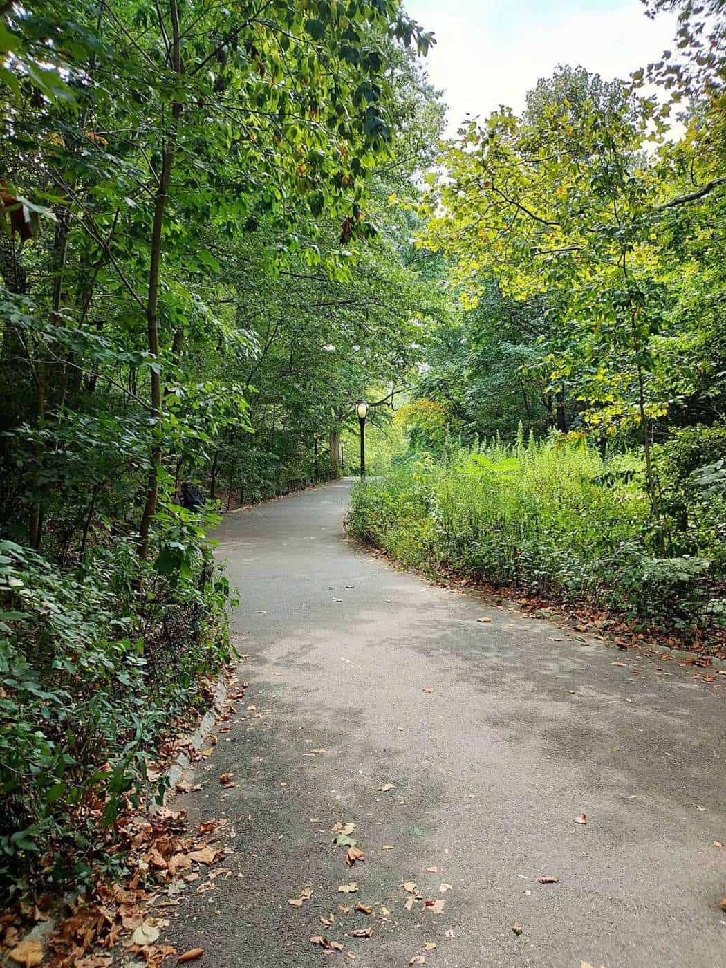 The Ramble