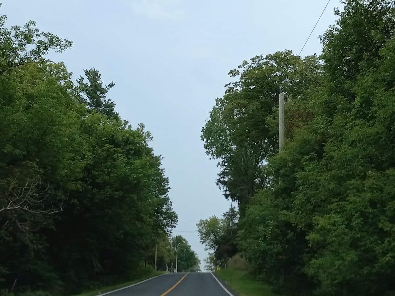 Reesor Road near the Toronto Zoo
