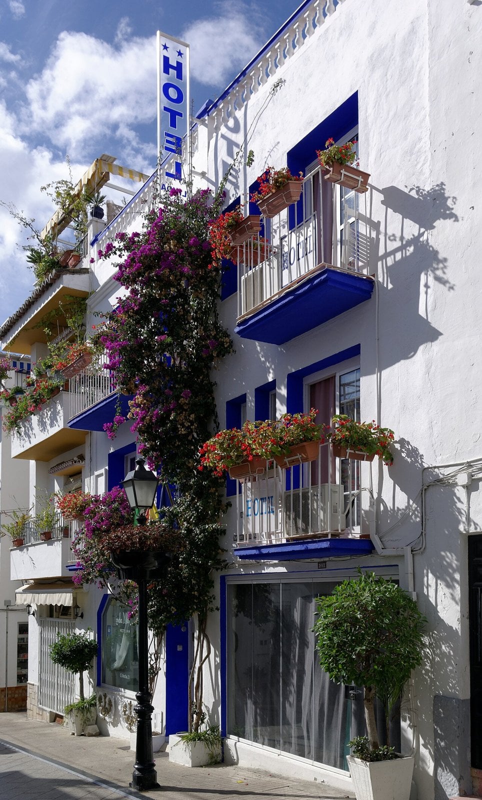 Marbella town and coast