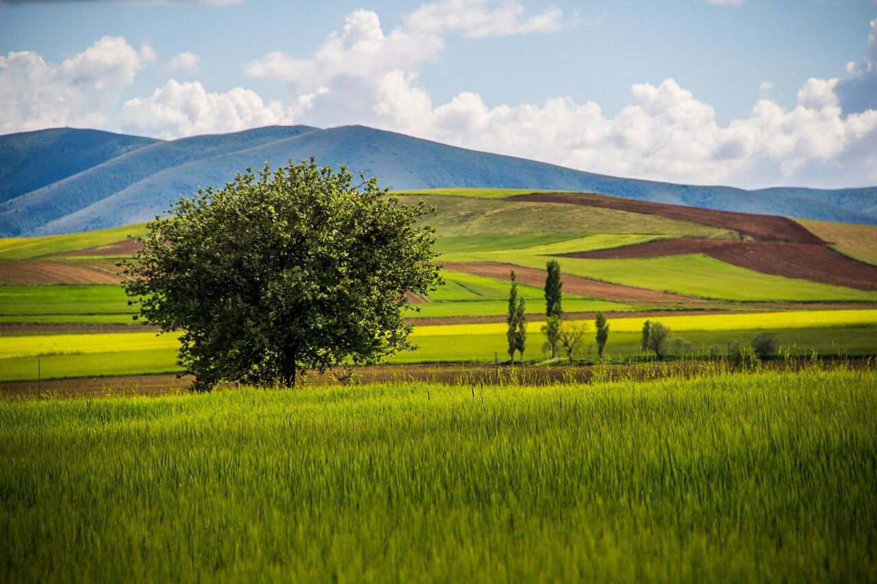 Village in Akpınar district, Kırşehir