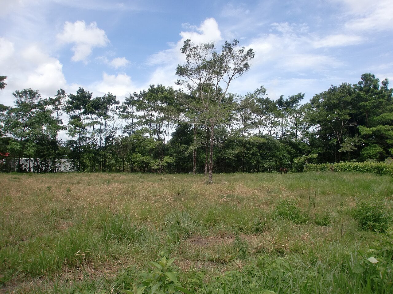 Villavicencio, Meta