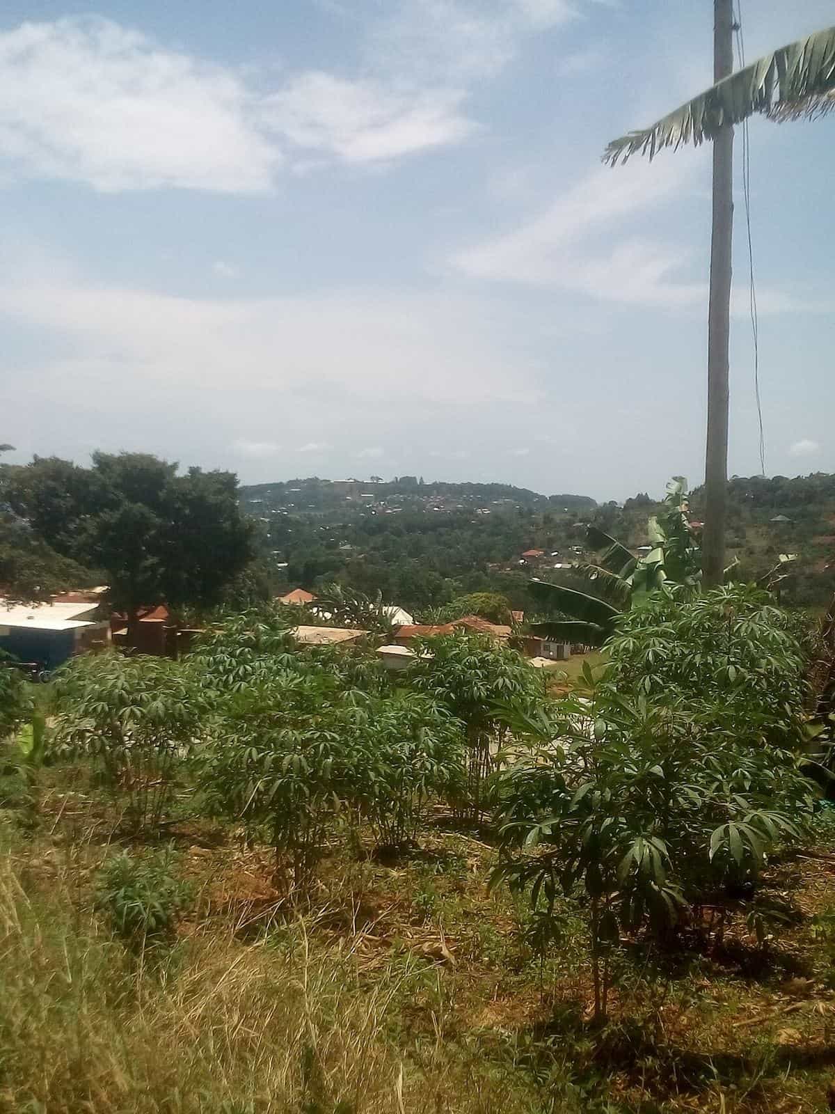 Rural landscape in Mpigi District, Uganda
