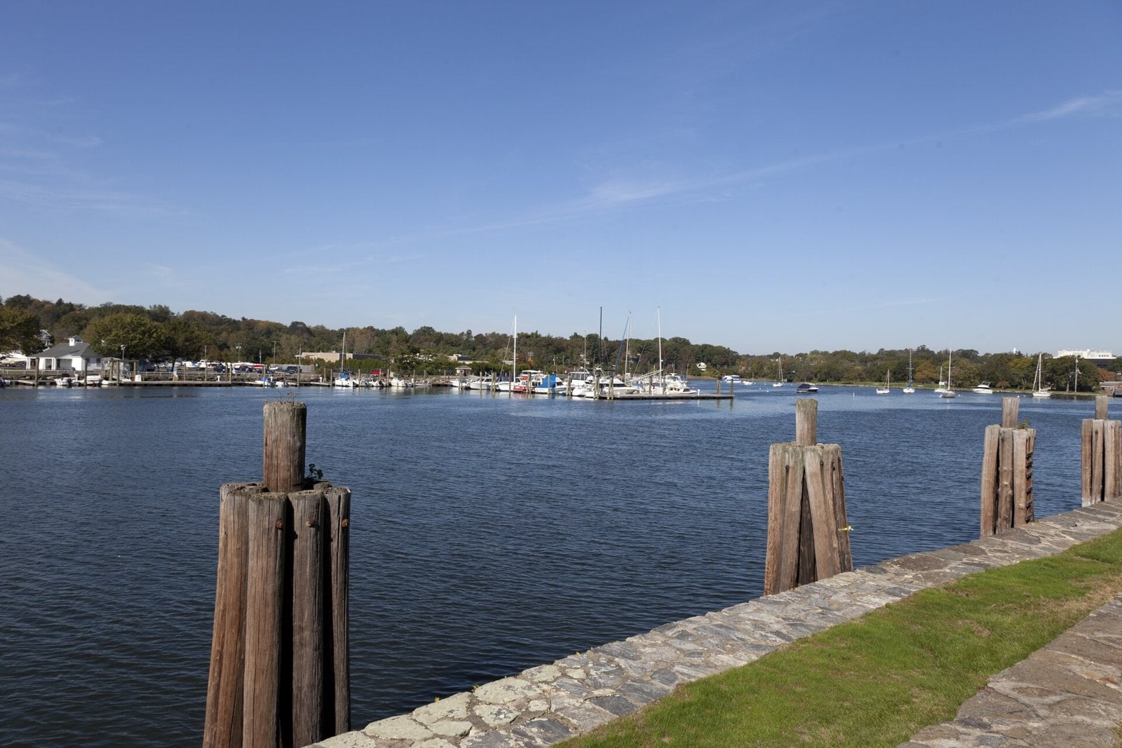 Greenwich Harbor in Connecticut on a clear day, with wooden pilings in the foreground and boats moored across the water