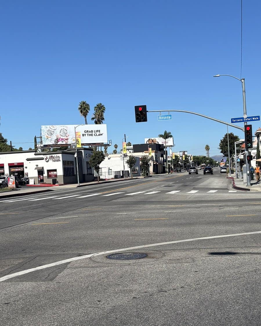 A wide boulevard lined with low commercial buildings, palm trees and parked cars under a clear sky