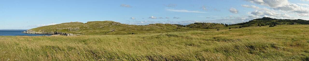 Bay Roberts, Newfoundland