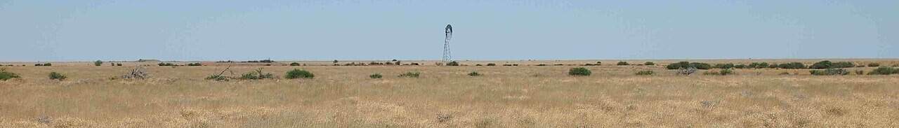 Barkly Tableland grasslands in the Northern Territory